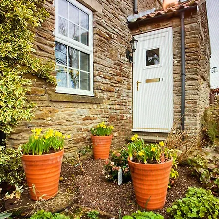 Secret View * Terrington